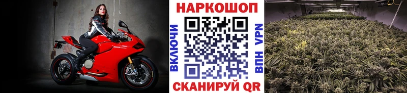Галлюциногенные грибы Волосово