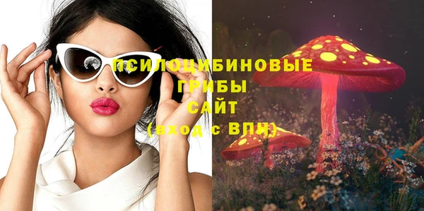 бутират Горнозаводск