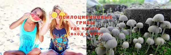 кристаллы Вяземский
