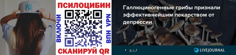 Купить  Волосово  Псилоцибиновые грибы Cubensis 