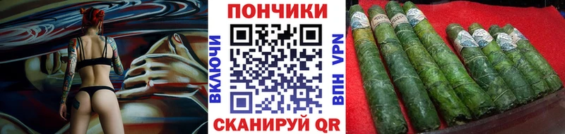 Канабис OG Kush  Купить  Волосово 